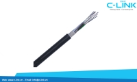 Stranded Loose Tube Cable With Non-Metallic Central Strength Member DYSFO (GYFTY) C-LINK Phân Phối