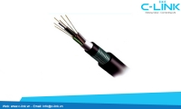 Stranded Loose Tube Cable With Aluminum Tape And Steel Tape (Double Sheaths) DYSFO (GYTA53) C-LINK Phân Phối