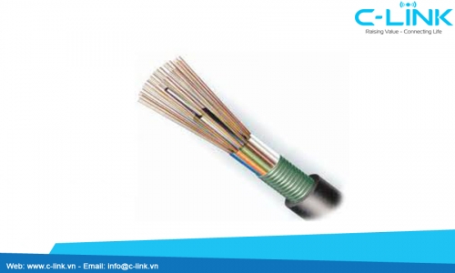 Stranded Loose Tube Cable With Steel Tape (double sheaths) DYSFO (GYTY53) C-LINK Phân Phối