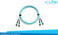 24 cores MPO-MPO OM3 Fiber Optic jumper