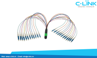 24 cores mpo to LC Fiber Optic Cable Assembly