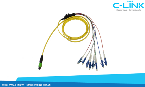 8 Cores MPO to LC Fiber Optic Assembly Cable
