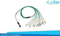 8 Cores MPO to LC Fiber Optic Assembly Cable.