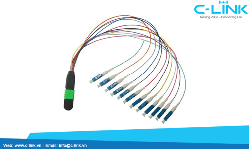 MTP-LC Fanout Fiber Optic Assembly Cable