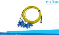 Singlemode MPO-MTP to SC Fiber Optic Assembly Cable